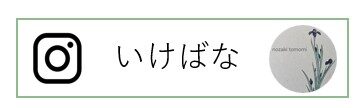 朋美いけばなインスタ
