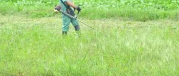 草刈り、除草
